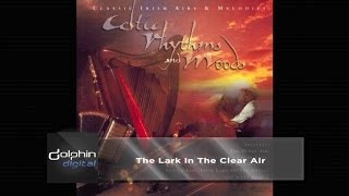 The Celtic Orchestra  The Lark in the Clear Air [upl. by Ayotnom908]