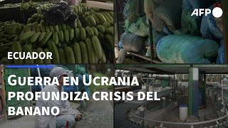 Fincas vacías guerra en Ucrania profundiza crisis del banano en Ecuador  AFP [upl. by Hedveh602]