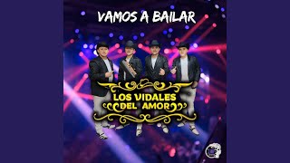 Vamos A Bailar [upl. by Ecnahs]