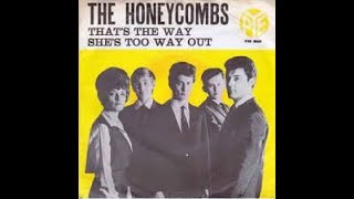 THE HONEYCOMBS  Thats the way [upl. by Cora]