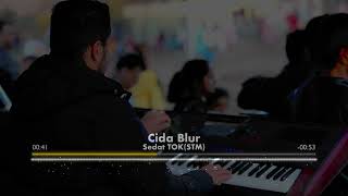 Cida Blur Hılavetın [upl. by Foah]