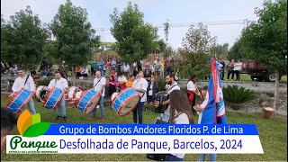 Grupo de Bombos Andores Floridos Ponte de Lima 02 [upl. by Nadean]