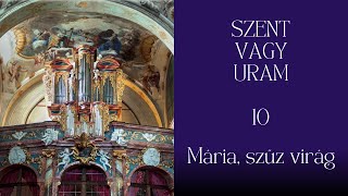 SZVU 10 Mária szűz virág [upl. by Mar]