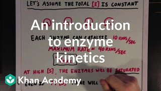 An introduction to enzyme kinetics  Chemical Processes  MCAT  Khan Academy [upl. by Lontson]