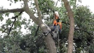 Das grosse Aufräumen nach dem Tornado in Langen Hessen [upl. by Nnyltiak73]