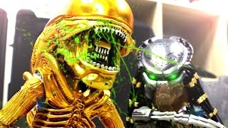 Alien VS Predator Stop Motion 異型VS終極戰士 [upl. by Enala]