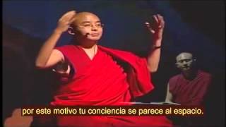 Yongey Mingyur Rinpoche 6 Meditatión SubtEsp [upl. by Lenrow]