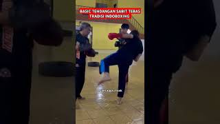 tendangan sabit indoboxing padwork martialarts [upl. by Spatola]