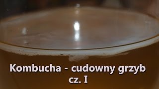 Kombucha Cudowny grzyb cz I [upl. by Ynez]