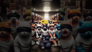 Little cat disappeared PT1🥺😱catsoftiktok cat cute aiart ai poorcat catlover fyp [upl. by Sil605]