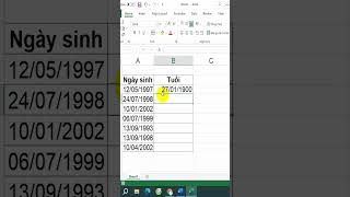 Cách tính tuổi trong Excel bằng hàm Year [upl. by Eeslehc]