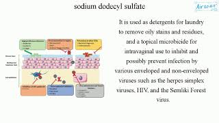 sodium dodecyl sulfate English  Medical terminology for medical students [upl. by Aran]