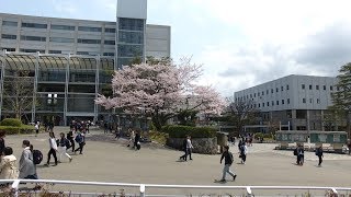 【福岡大学公式チャンネル】ドローンで撮影したキャンパス風景＜Active編＞ [upl. by Yodlem737]