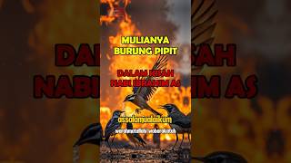 Mulianya Burung Pipit Dalam Kisah Nabi Ibrahim AS [upl. by Merissa]