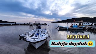 ZEYTİNELİ NDE BALIĞA DOYDUK 👍 [upl. by Lomasi361]