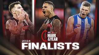 Two Pies and a Roo fly high  Mark of the Year finalists  2024 [upl. by Allemaj]