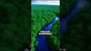 The Amazon Rainforest historicalfacts history shorts [upl. by Braun]