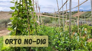 Coltivare senza lavorare il terreno Il progetto Akape di agricoltura rigenerativa e permacultura [upl. by Icnarf640]