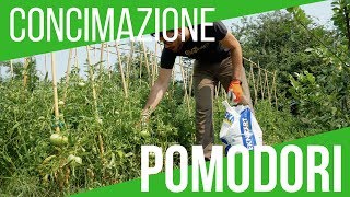 CONCIMAZIONE DI METÀ STAGIONE AI POMODORI RISOLVERE LE CARENZE  ORTO E GIARDINAGGIO [upl. by Natsud]