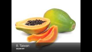 Top 10 Papaya Producing Countries [upl. by Leizahaj]