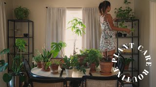 my plant care routine 🪴 healthy houseplant tips amp basics [upl. by Airt629]