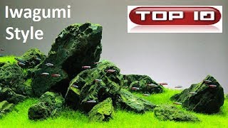 Top 10 Acquari Iwagumi straordinari 🐠 [upl. by Chladek]