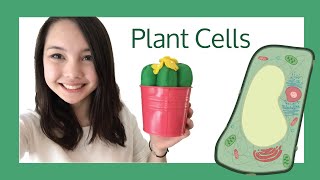 Plant Cells  Explanation [upl. by Ahsinak]