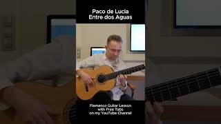 Entre dos Aguas Paco de Lucia  Flamenco Lesson flamencoguitar entredosaguas pacodelucia guitar [upl. by Vasquez759]