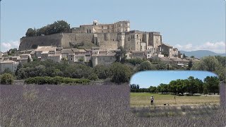 Les champs de lavande devant le château de Grignan  Drone Marsanne  Drôme  France [upl. by Wilone430]