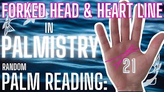 FORKED HEAD AND HEART LINE IN PALMISTRY RANDOM PALM READING 21 [upl. by Poore743]