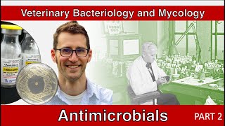 Antimicrobials Part 2  Veterinary Bacteriology and Mycology [upl. by Eulalee]