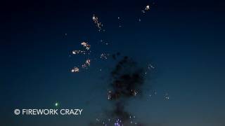 Firework Crazy  Raise the Roof by SkyCrafter [upl. by Ayat]