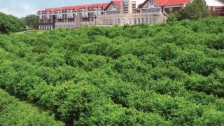 Lied Lodge and Arbor Day Farm  Nebraska City Nebraska [upl. by Aro219]