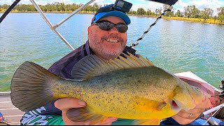 Yellowbelly and Australian Bass Fishing [upl. by Gonsalve]