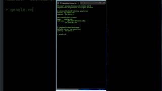 nslookup networking cmd windows [upl. by Engen]