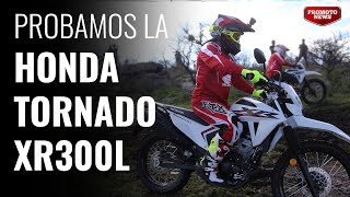 Opinión Honda Tornado XR300L [upl. by Kimberli]