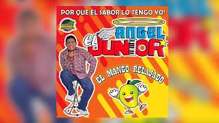 El Mango Relajado  ANGEL EL JUNIOR [upl. by Adianez326]