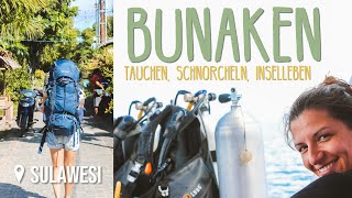 Schnorcheln amp Tauchen bei Bunaken • Sulawesi • Weltreise Vlog [upl. by Bechler65]