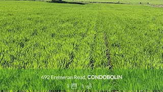 492 Eremeran Road CONDOBOLIN [upl. by Aeet587]