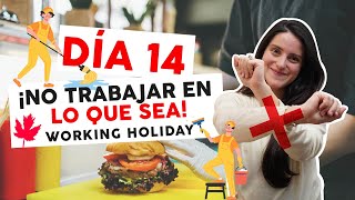 VISA CANADIENSE PARA TRABAJAR EN LO QUE SEA La mejor opción Day 1430 [upl. by Eelyk]