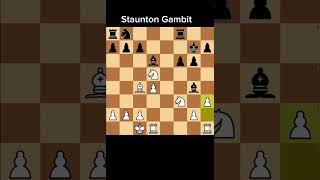 Staunton Gambit chess [upl. by Payson771]