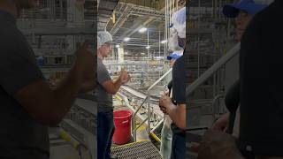 Touring AnheuserBusch in Fairfield California beer MakingCA [upl. by Ellissa]