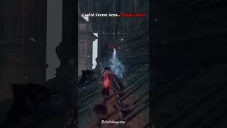 Caelid Hidden Area  New Secret Boss [upl. by Erline96]