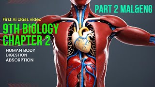 9th std Biology chapter 2  Part 2  9thclass kerala scert new English and Malayalam digestion [upl. by Ardnikat240]