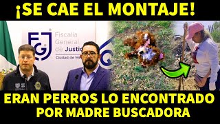 ¡SE CAE EL MONTAJE ERAN PERROS LO ENCONTRADO POR MADRE BUSCAD0RA [upl. by Attevroc]