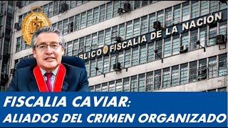 JUECES Y FISCALES CAVIARES ALIADOS DEL CRIMEN ORGANIZADO [upl. by Maltzman]