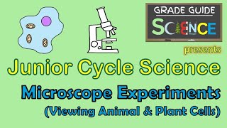 Microscope Experiments Viewing Animal amp Plant Cells  Junior Cycle Science  Revision Video [upl. by Joye]