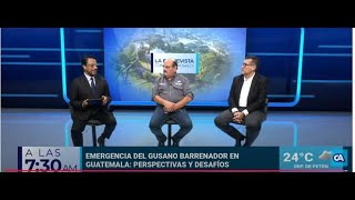 Tema “Reemergencia del Gusano Barrenador en Guatemala” [upl. by Peter]