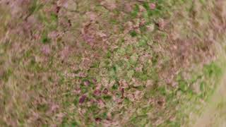 Wanstead Flats  April 2018  Mavic Air Drone  4K  Bike [upl. by Alexia]