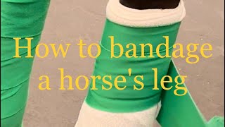 How to bandage a horses leg SupportStandingShipping bandage AAEP guidelines CPE [upl. by Bergwall]